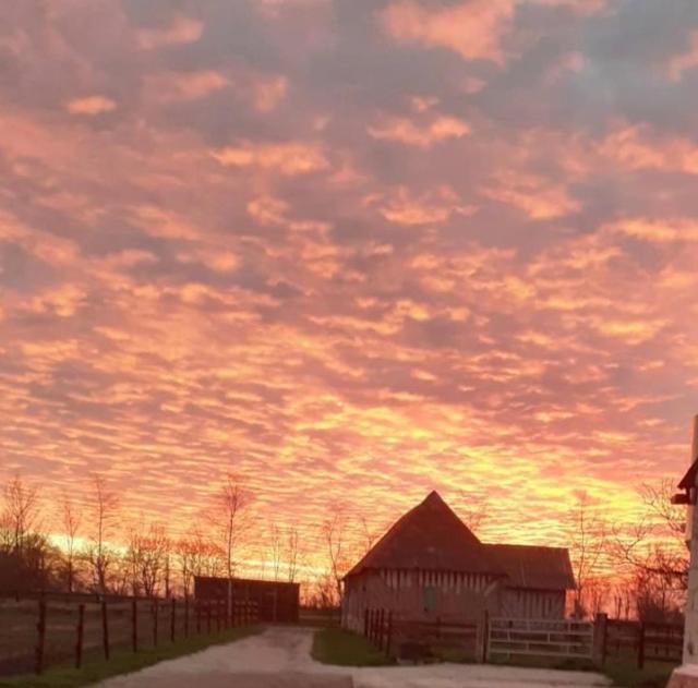 B&B Haras De La Cour Fleury Saint-Michel-de-Livet Zewnętrze zdjęcie
