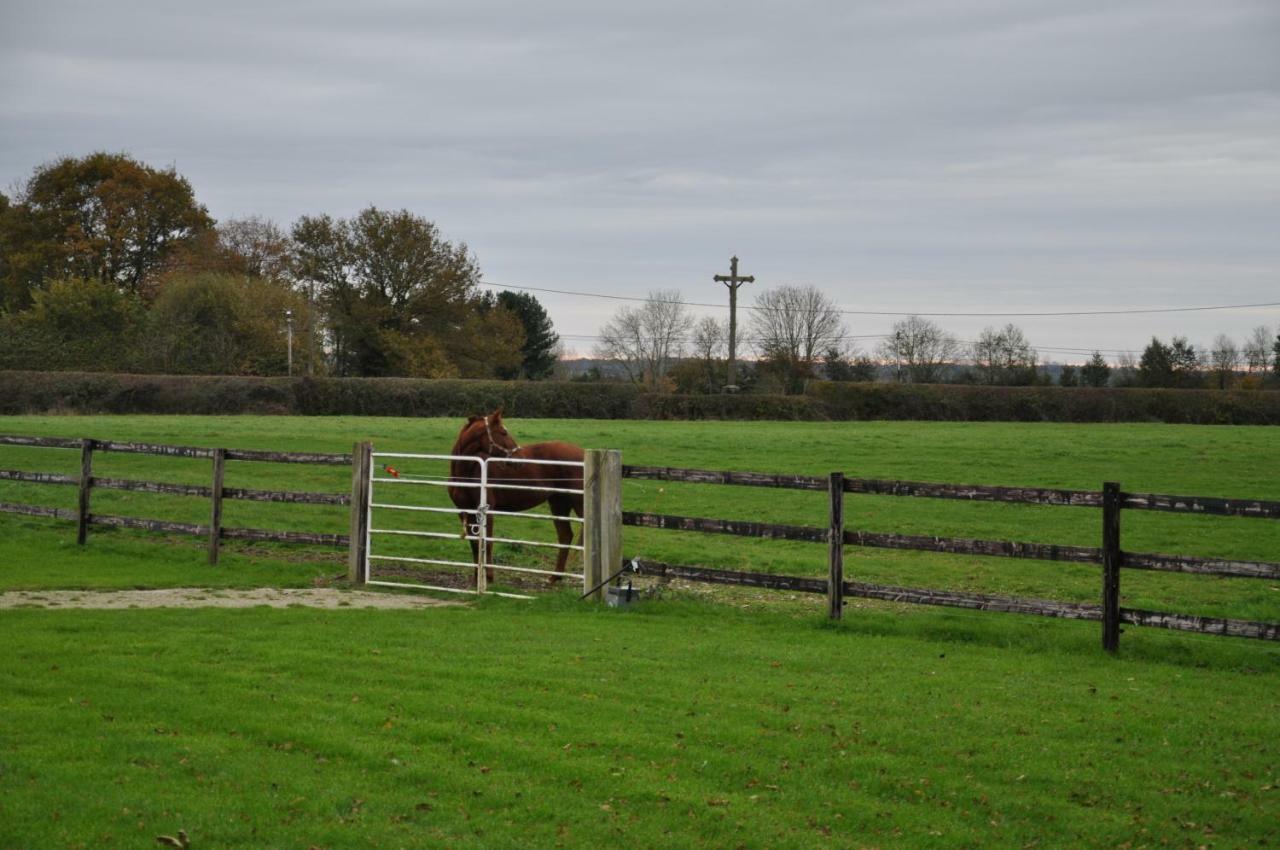 B&B Haras De La Cour Fleury Saint-Michel-de-Livet Zewnętrze zdjęcie