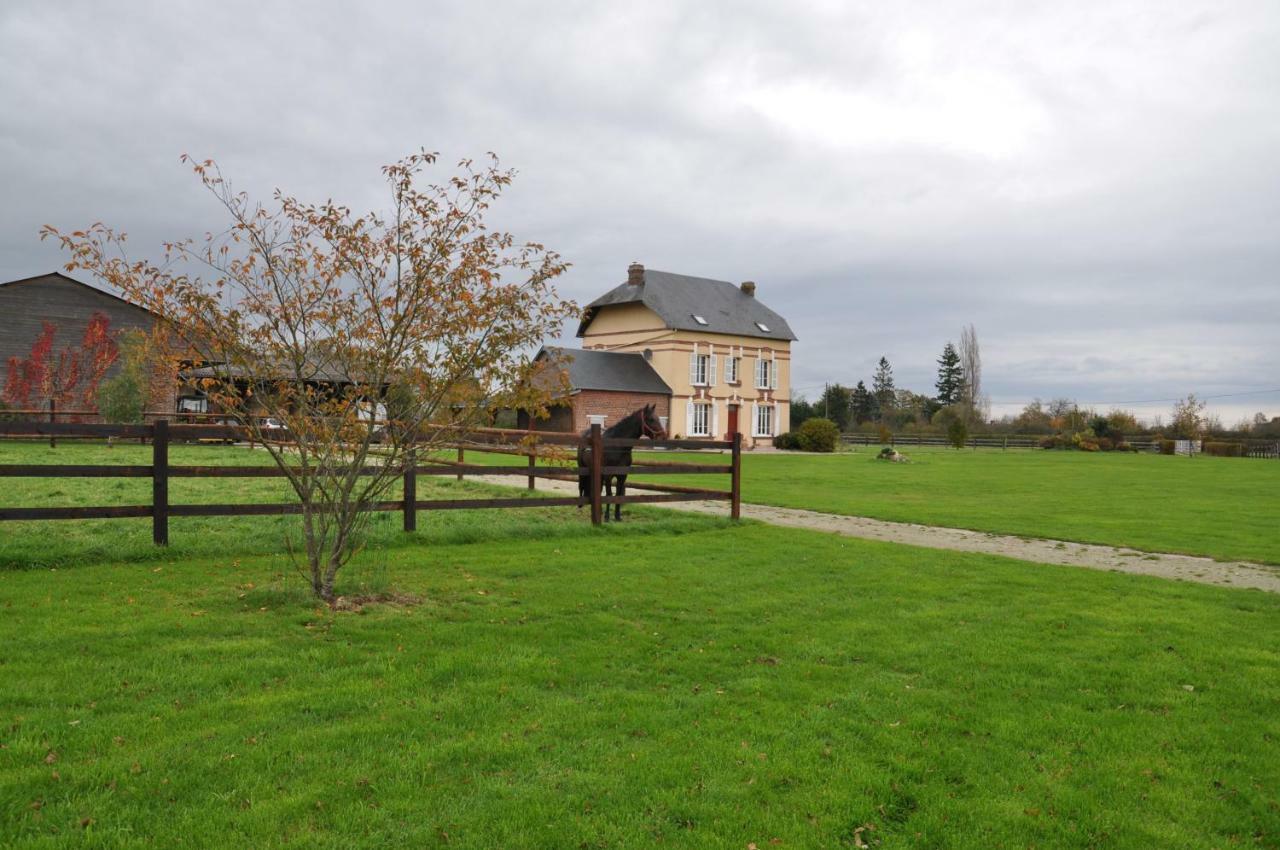 B&B Haras De La Cour Fleury Saint-Michel-de-Livet Zewnętrze zdjęcie