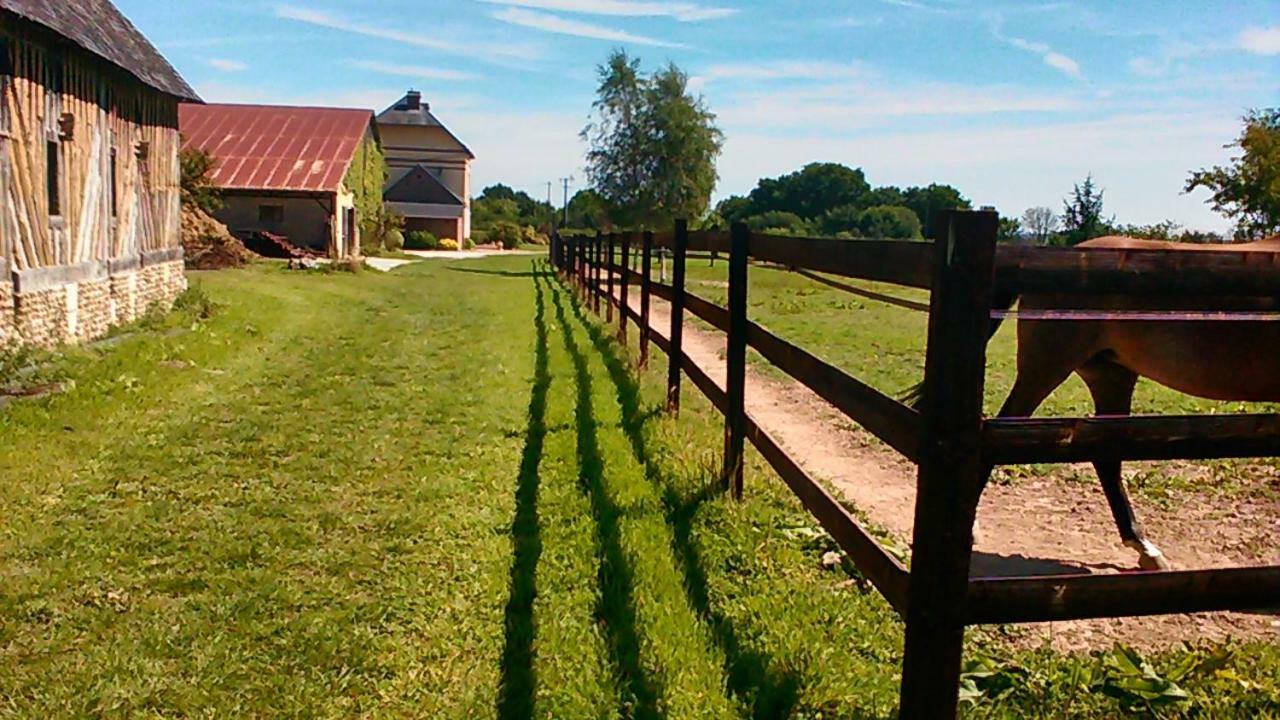 B&B Haras De La Cour Fleury Saint-Michel-de-Livet Zewnętrze zdjęcie